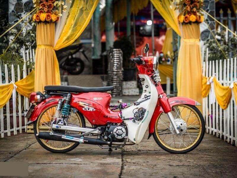 50+ hình ảnh xe Cub độ kiểng đẹp nhất 2022 (Hình 15)
