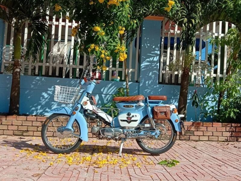 50+ hình ảnh xe Cub độ kiểng đẹp nhất 2022 (Hình 16)