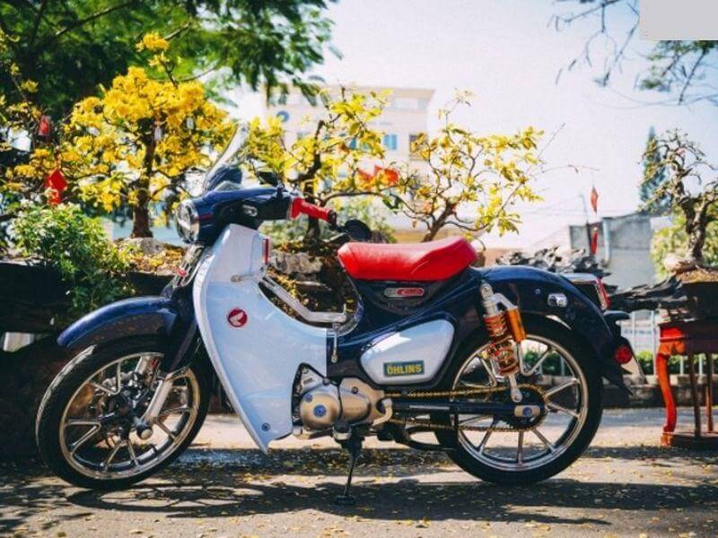 50+ hình ảnh xe Cub độ kiểng đẹp nhất 2022 (Hình 22)