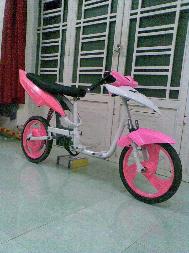 Ảnh xe đạp điện độ cute