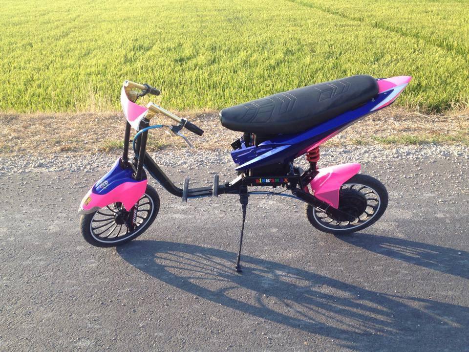 Hình ảnh xe đạp điện mini độ