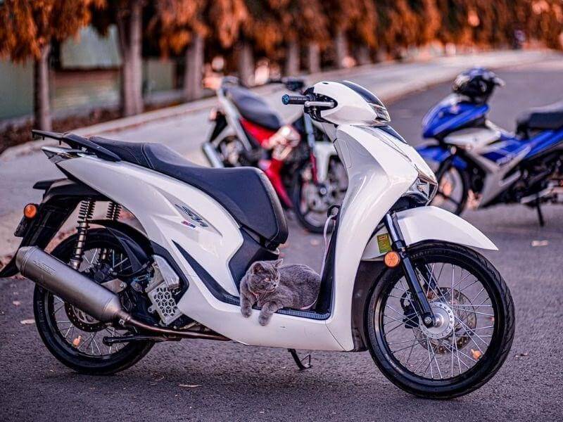 Phiên bản xe SH độ kiểng đẹp, ấn tượng nhất 2022 (Hình 45)