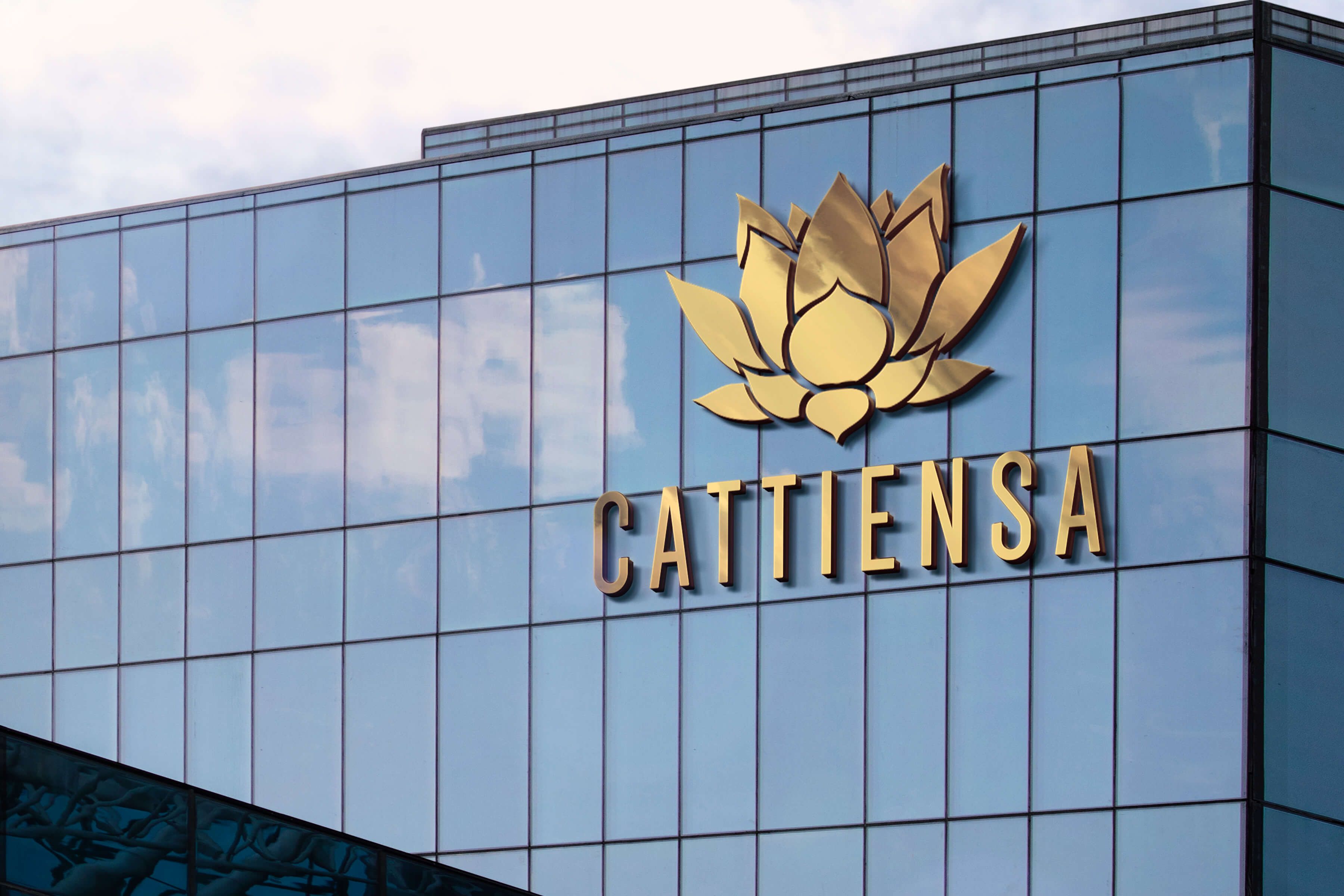 Công ty Truyền thông Cát Tiên Sa (Nguồn: Internet)