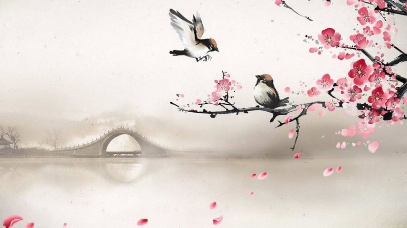 Cung Du Hành là gì? Ý nghĩa của các ngôi sao chính và phụ