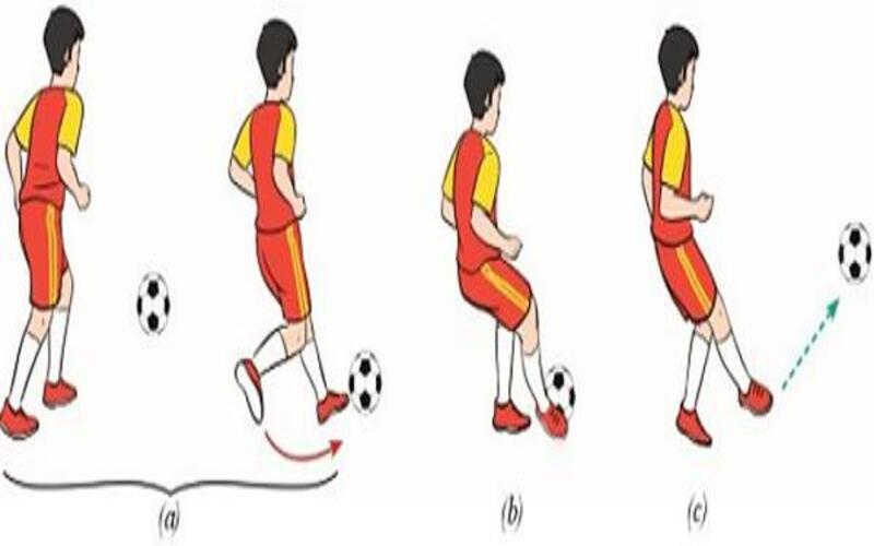 Kỹ thuật đá chân sau: Bí quyết cho một cú đá hoàn hảo