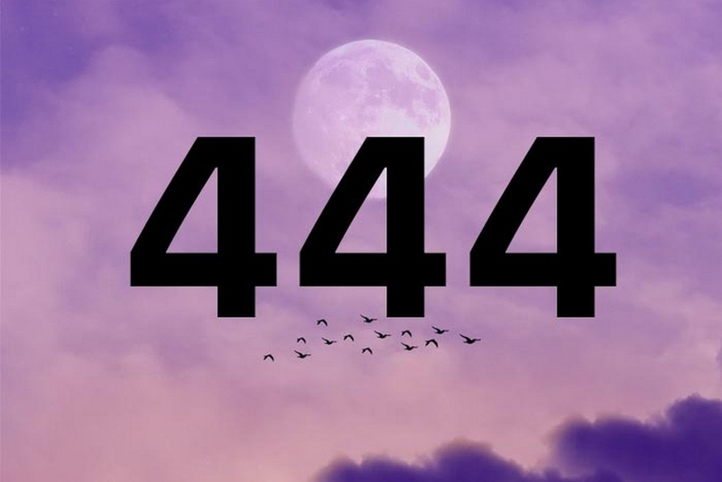 444 là gì ảnh 1