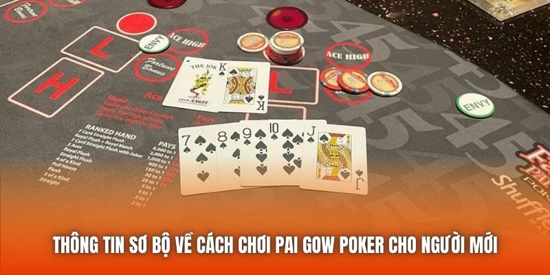 Cách chơi Pai Gow Poker cho người mới